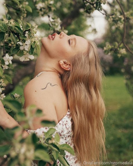 fans de classe uniquement haute qualité sympa archive