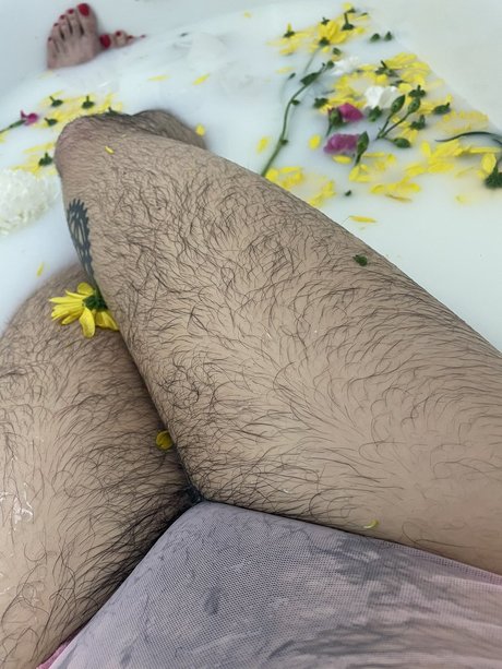 Olive Wren_ étoile gratuite archive