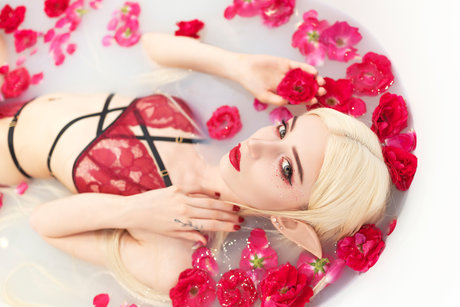 Whitefox Lunedcrevan_ étoile sympa photo