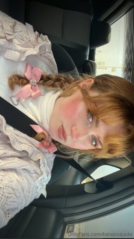 Kalopsiajade X étoile sympa photo