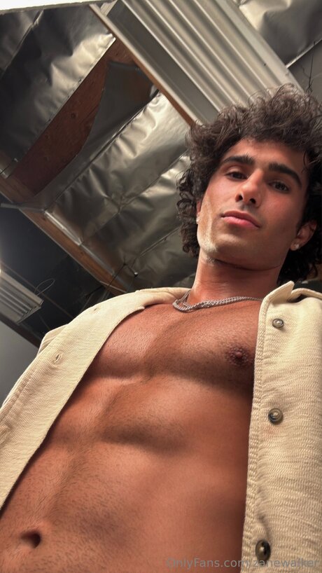 Zanewalker art star du porno images