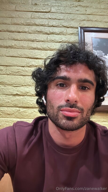 Zanewalker modèle adulte galerie