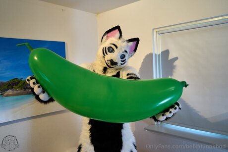 Belkalunokhod modèle meilleur images