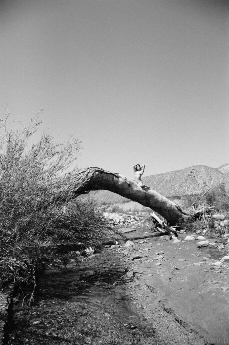 Tinyprudencevip modèle artistique photo