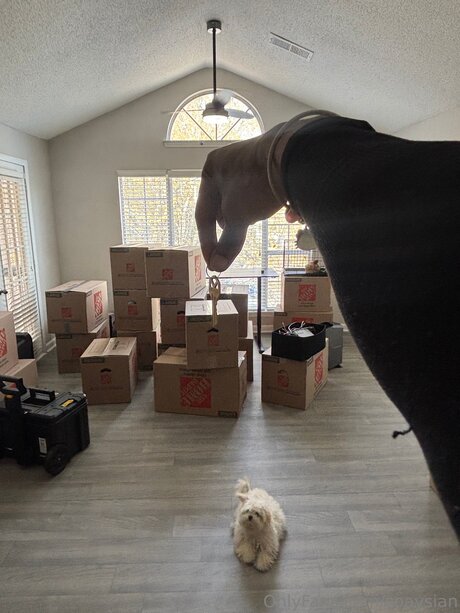 Soaysian art étoile des photos