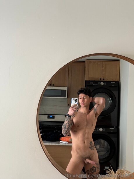 Evanlamicella étoile hd galeries