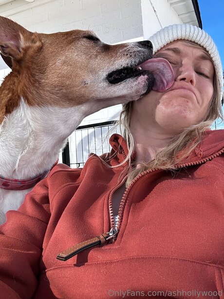 Ashhollywood belle star du porno img