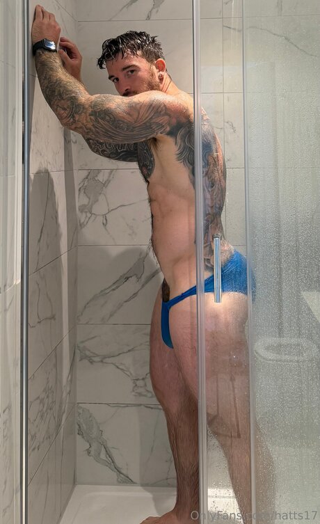 Hatts17 modèle parfait galeries