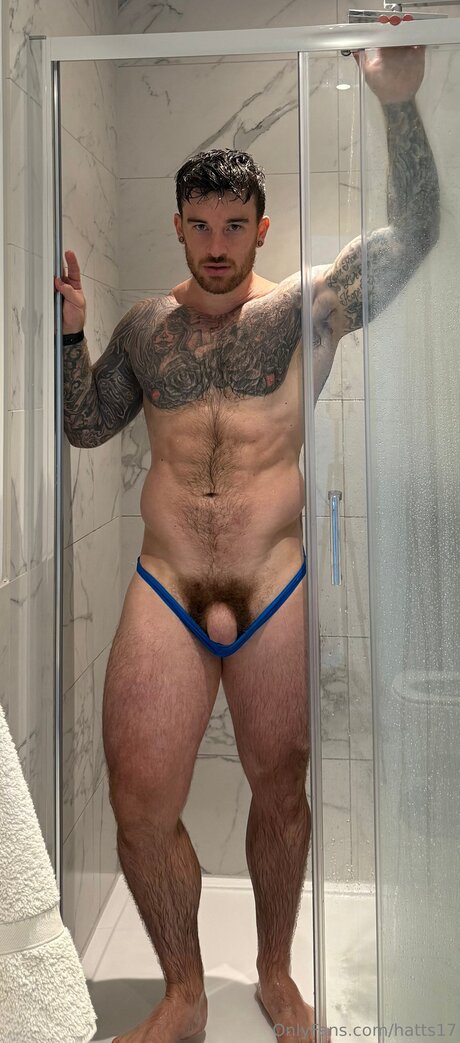 Hatts17 étoile gratuite img