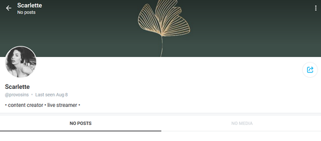 Provocatrix_ star du porno chaud archive