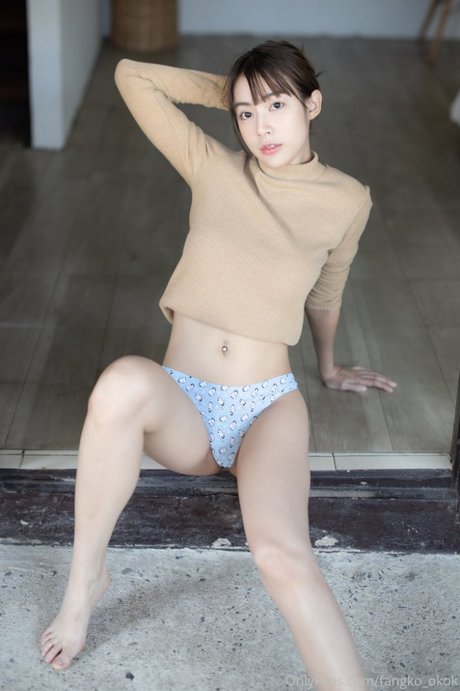 Fangko étoile galeries