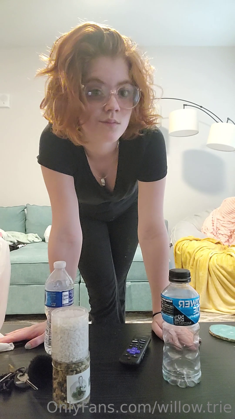 Willow Trie étoile de l'art collection