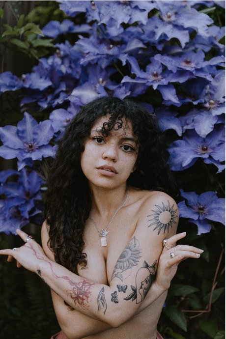 Spicymarii Lilfairymari star du porno chaud archive