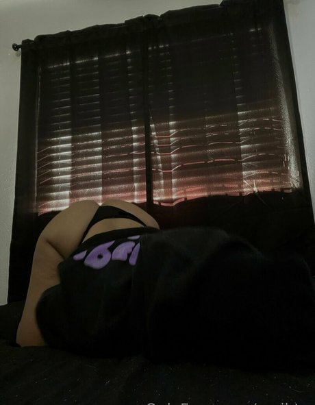 zuribtw star du porno gratuit collection