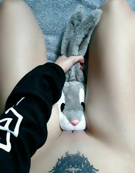 fans anaux courbés uniquement exclusivité de haute qualité image