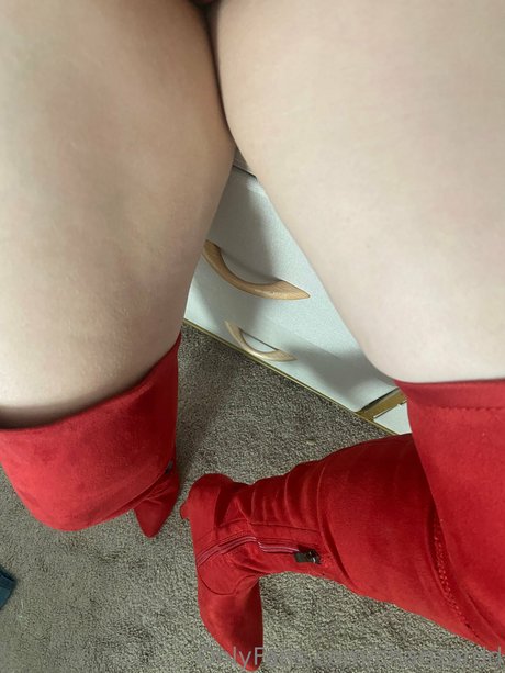 Charizard modèle sympa des photos