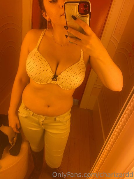 Charizard modèle meilleur image