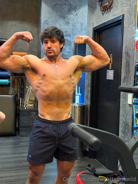 Wyattgonewild star du porno belle des photos