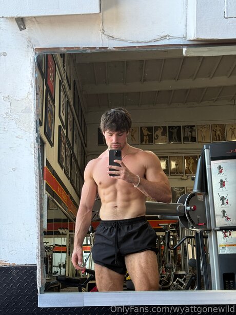 Wyattgonewild star du porno érotique collection