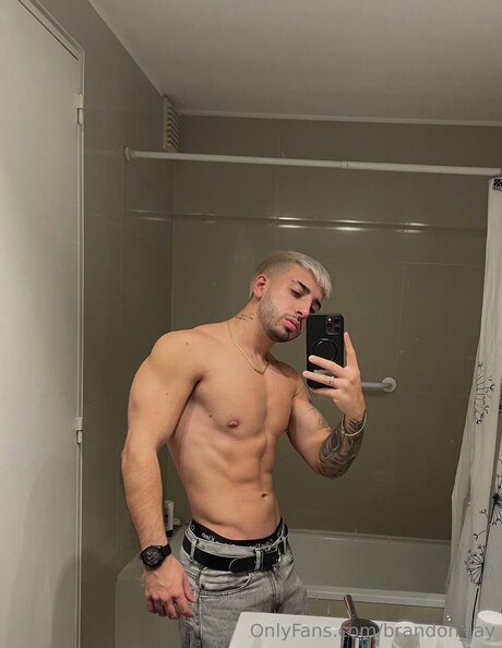 Brandon Jay modèle artistique galerie