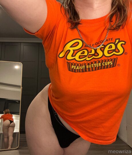 Meowriza étoile chaude collection