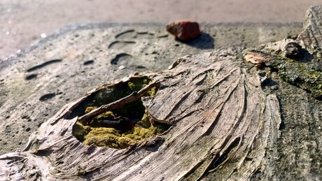 pieds de grand-mère uniquementfans belle nue img