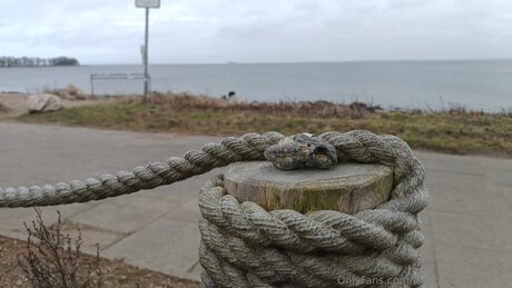 Alexbitchcraft4free belle étoile archive