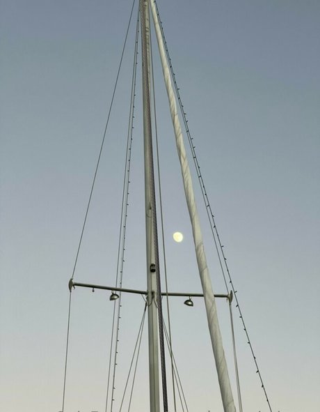 Thesavannaheleven étoile magnifique galerie