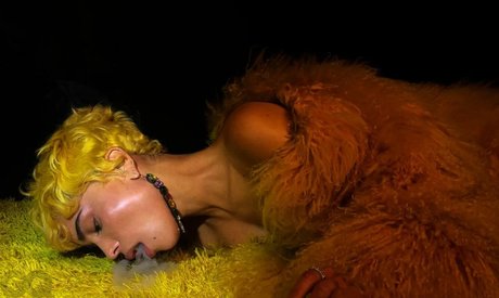 Zoe Kravitz star du porno sympa collection