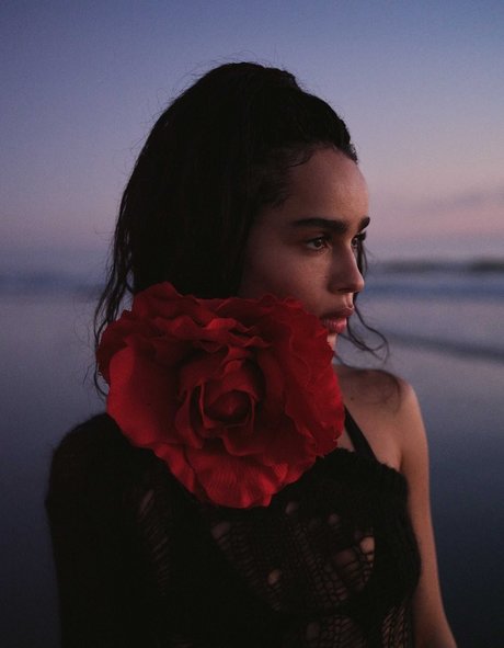 Zoe Kravitz xxx étoile img