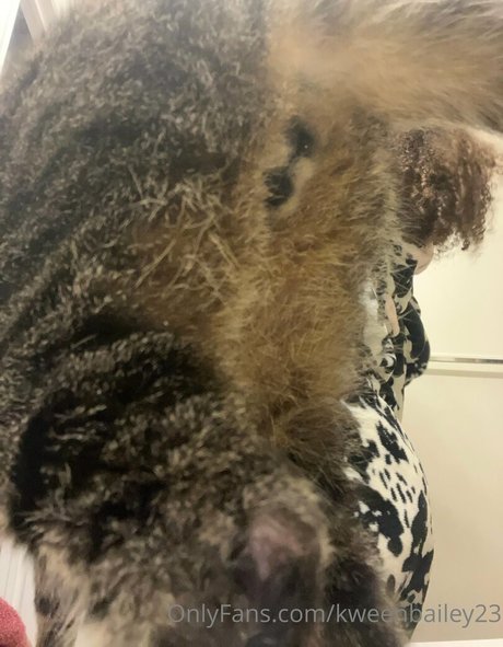 Kweenbailey23 sexe star photos