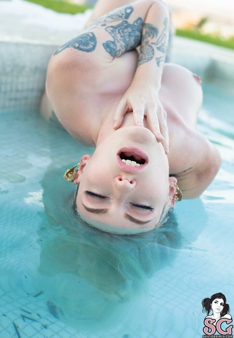 itstorro étoile parfaite image