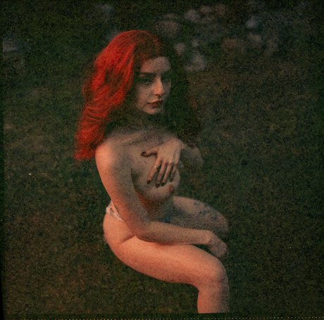 chaton courbé onlyfans assez exclusif galeries