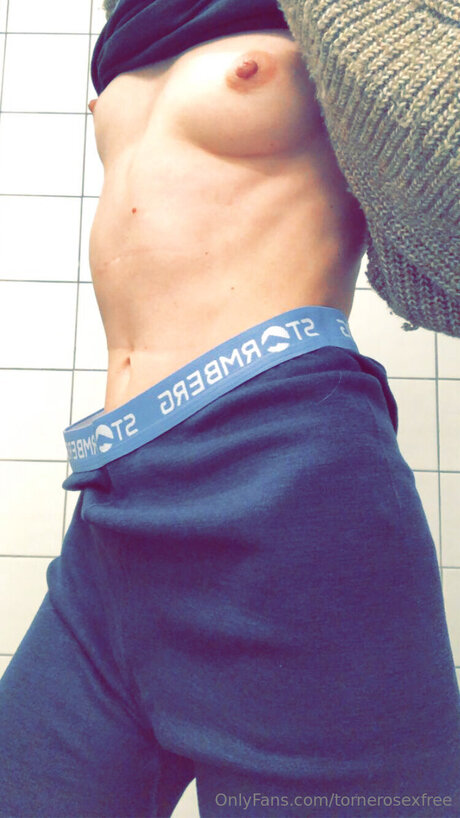 Tornerosexfree nus de stars du porno img