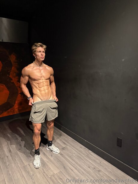 Seandawnfree modèle artistique img