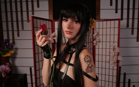 ventilateurs en silicone uniquement art exclusif des photos