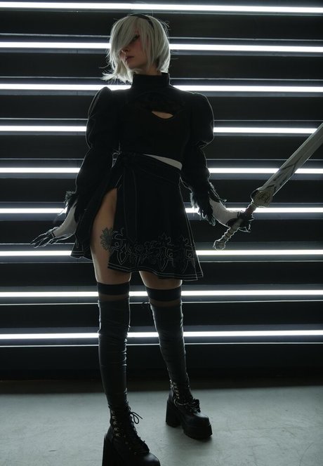 fans anaux courbés uniquement art haute définition images