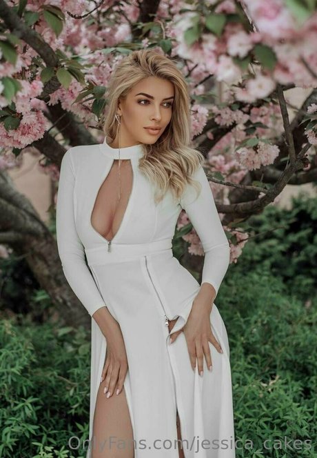 jessica cakes modèle gratuit galeries