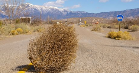 top 2024 des fans uniquement porno de haute qualité images