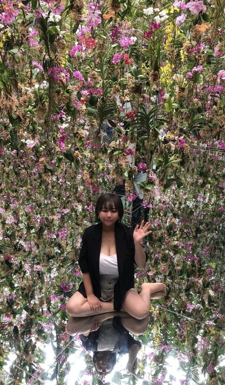 Pchan666 actrice xxx collection