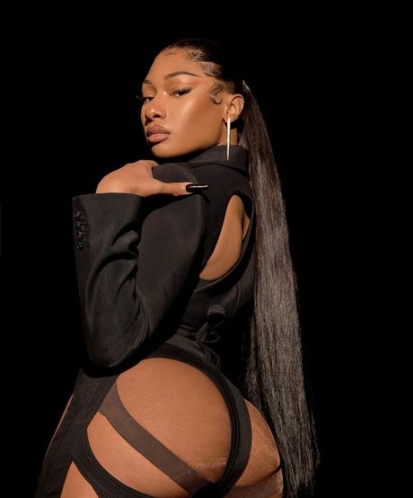 Megan Thee Stallion modèle artistique collection