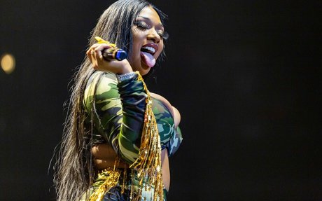 Megan Thee Stallion modèle artistique galeries