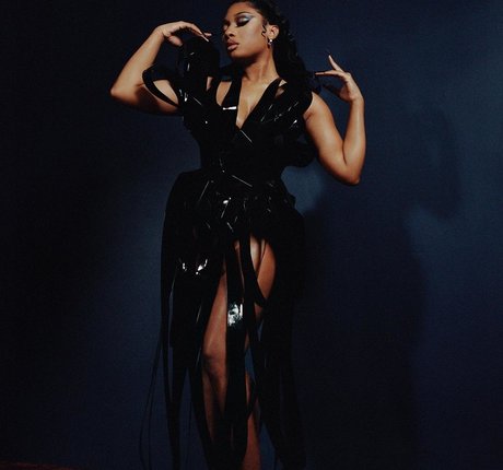 Megan Thee Stallion art de star du porno galeries