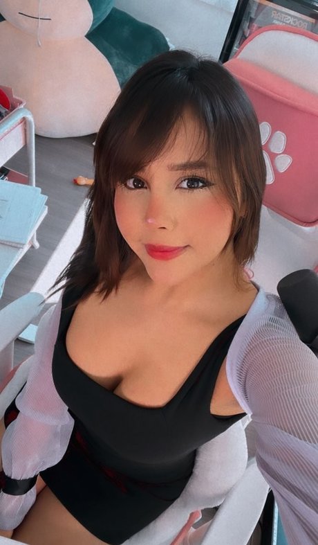 fans faits maison uniquement meilleure qualité photos