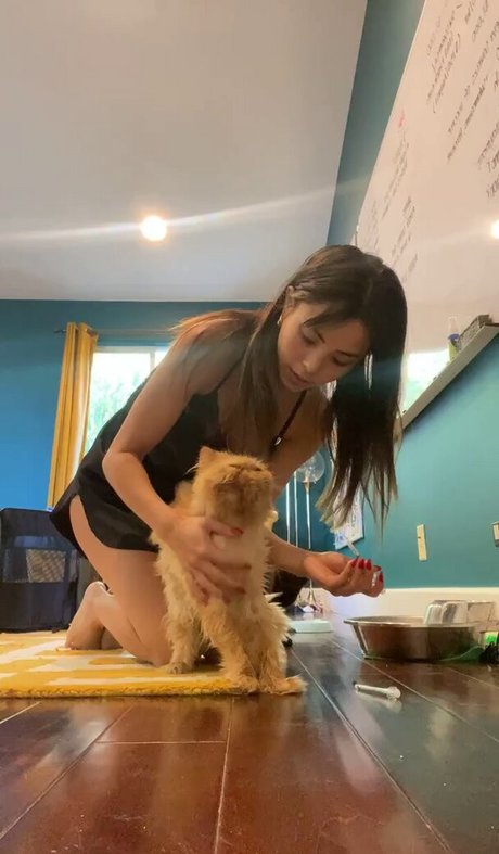 Anna Akana sexe de star du porno galeries