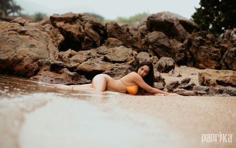 chaton potelé uniquementfans bien chaud image