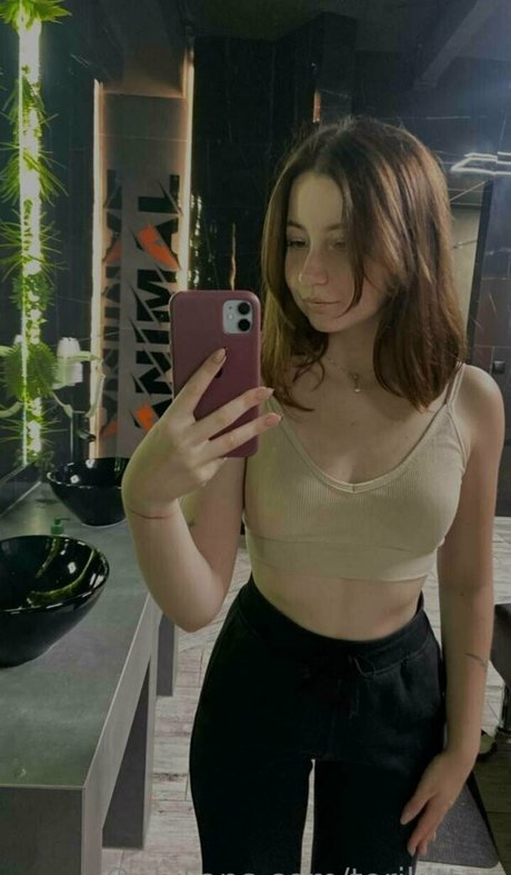 torikitten modèle joli img