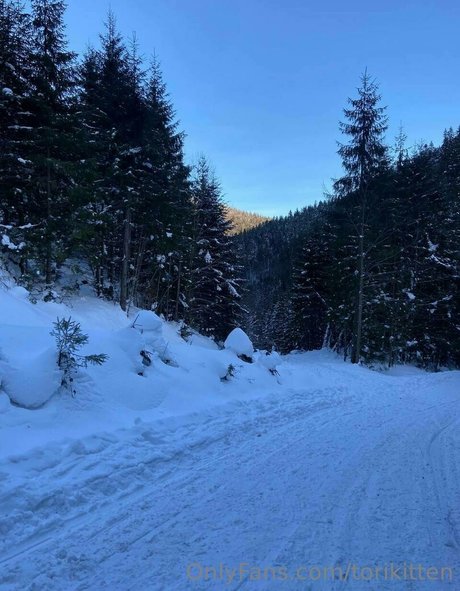 torikitten Fotoaufnahmen