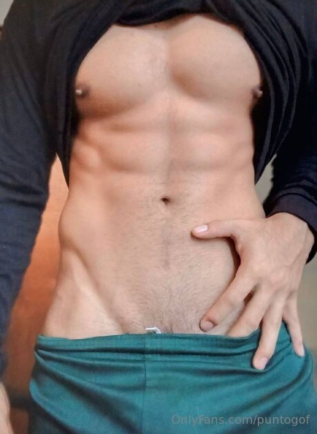 Puntogof modèle magnifique galerie