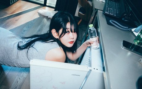 zia kwon nus star du porno collection